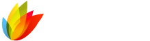 mancinidesign