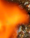 Thumb2